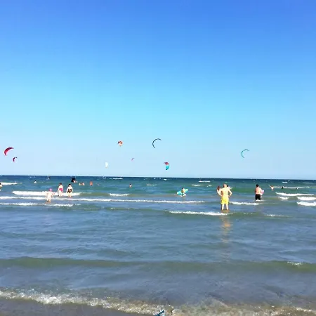 Amigos Mamaia *