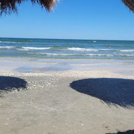 Amigos Mamaia