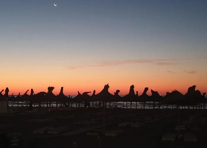 Amigos Mamaia Daire Navodari