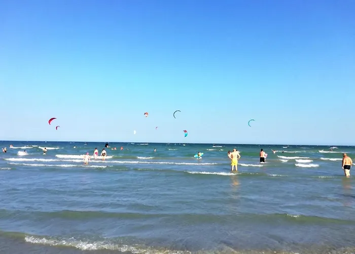 Amigos Mamaia *