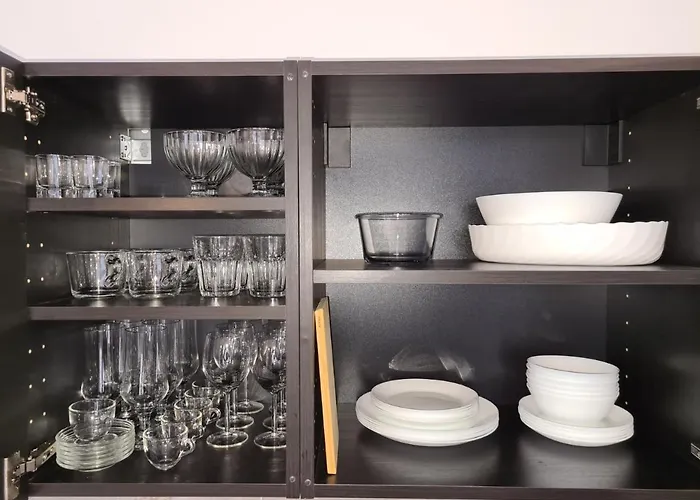 Amigos Mamaia * Navodari