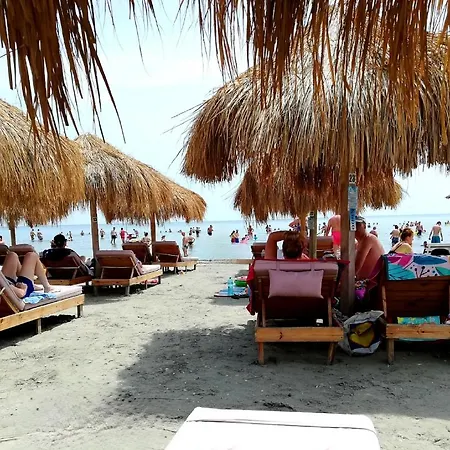 Amigos Mamaia *