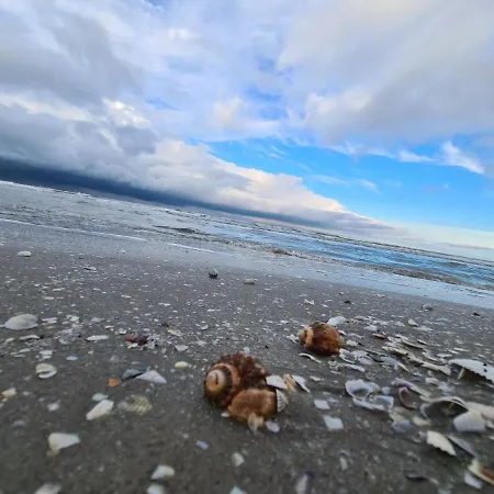 Appartamento Amigos Mamaia Năvodari